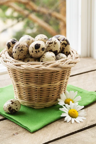 Huevos de codorniz en una cesta —  Fotos de Stock