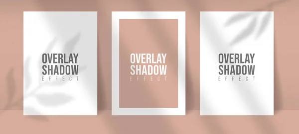 Gölge Kaplama Santrali Vektör Model A4 Kağıt Çarşafları. Gölgeler yaprak ve pencere ışığı efektlerini örtüyor. Modern minimalist tarzda. Sunum için Flyer, Poster, boş, logo, davet.