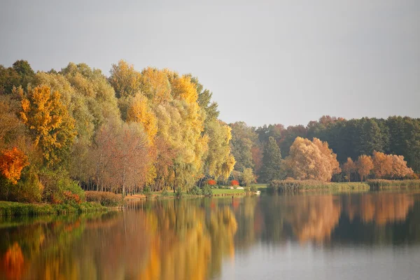 Jesienne października kolorowy park. Aleja drzew liści — Zdjęcie stockowe