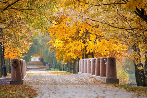 Outono Outubro parque colorido. Árvores de folhagem beco — Fotografia de Stock