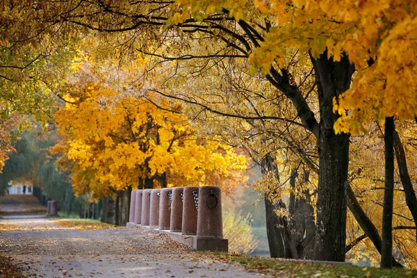 Autunno Ottobre colorato parco. Fogliame vicolo alberi — Foto Stock