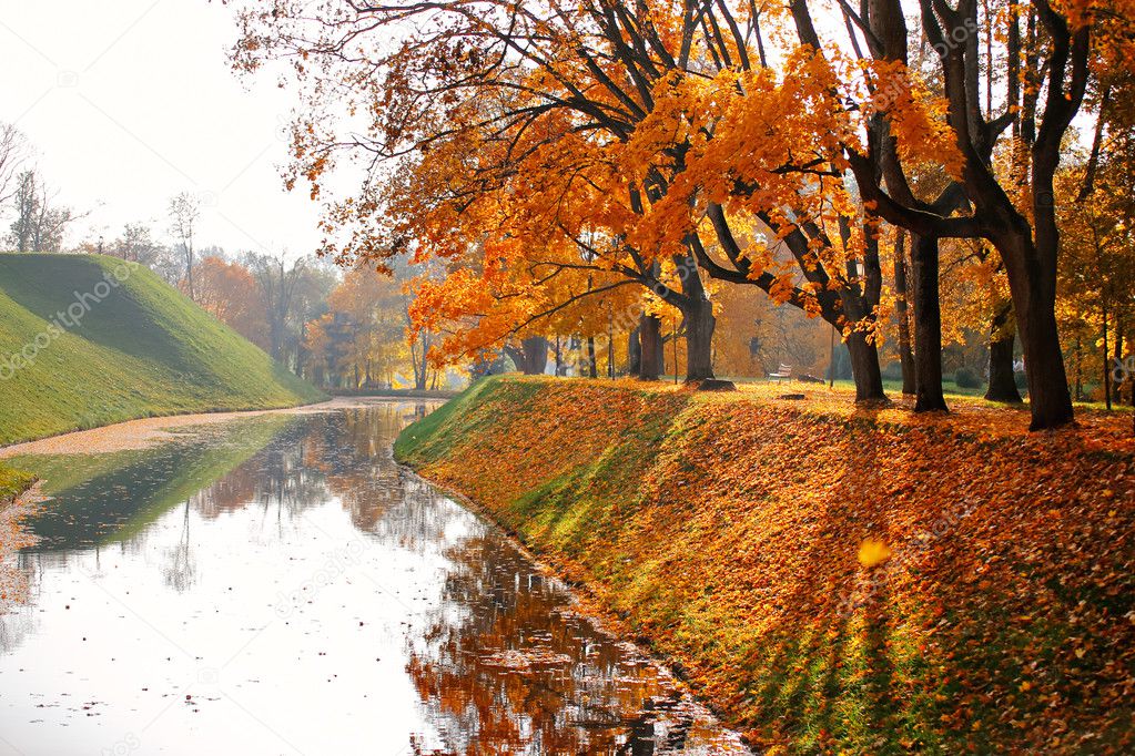 Autumn October colorful park. Foliage trees alley