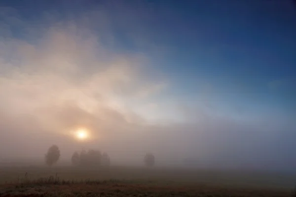 Осеннее туманное утро. Мистический восход солнца на лугах — стоковое фото