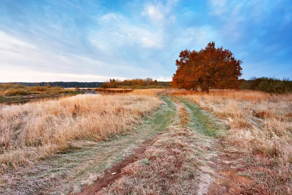 First autumn frosts in oak wood. Road in the meadow near the riv — Stock Photo, Image