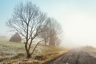 Puslu dağ yolu üzerinde ilk sonbahar kar
