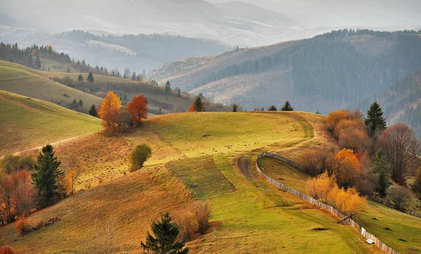 Podzimní horské panorama. Října na karpatských kopcích — Stock fotografie