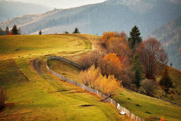 Осенняя горная панорама. Октябрь на Карпатских холмах — стоковое фото