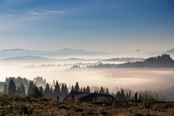 Vogel fliegt über Hügel und Dorf. nebliger Morgen in den Bergen — Stockfoto