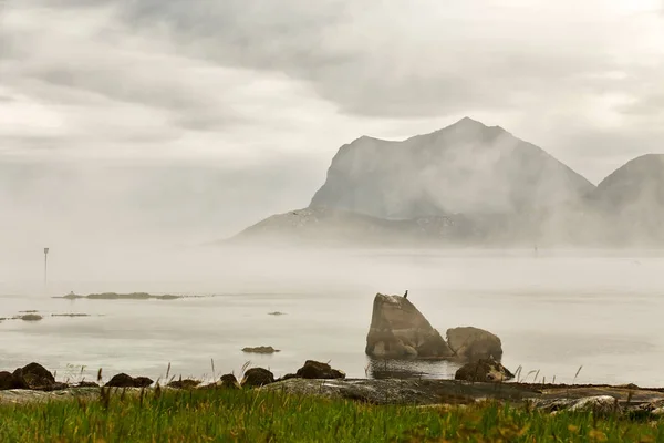 여름 흐린 Lofoten 섬입니다. 노르웨이 안개 피 요 르 드. — 스톡 사진