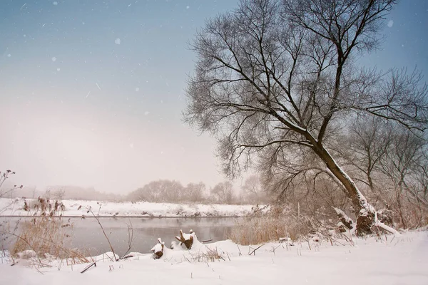 Nevadas sobre el río. Invierno nublado nublado nevado tiempo . — Foto de Stock