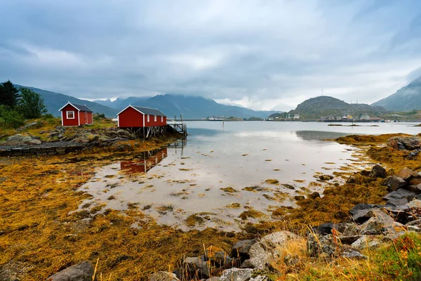 Rorbu norweski hut na wybrzeżu zatoki. Nordic summer pochmurny dzień. — Zdjęcie stockowe