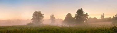 Summer misty dawn on the bog. Foggy swamp in the morning. Panora clipart