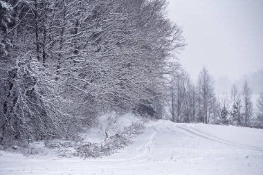 Kar yağışı ve karla karışık yağmur kış yolda. Buz karlı yol. Kış snowst