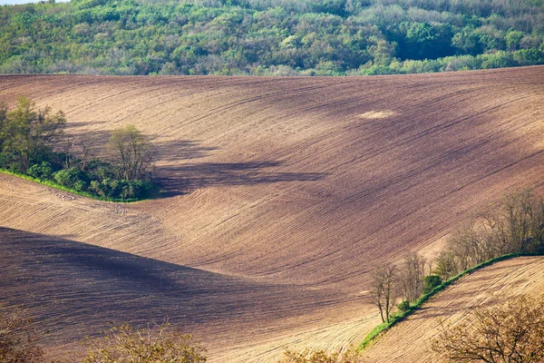 Terra arável da Primavera. Cenário agrícola ondulado da primavera. Landsca rural — Fotografia de Stock