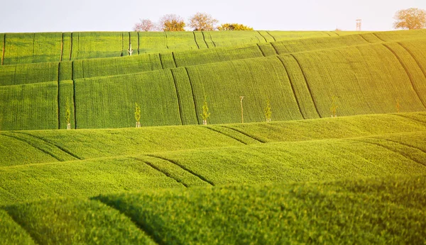 Textura padrão abstrato de campos ondulados rolando na primavera. Sprin... — Fotografia de Stock