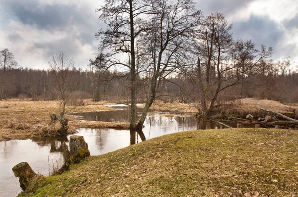 Strumień wiosna. Wczesną wiosną na małej rzeki. Wiosna zachmurzony — Zdjęcie stockowe