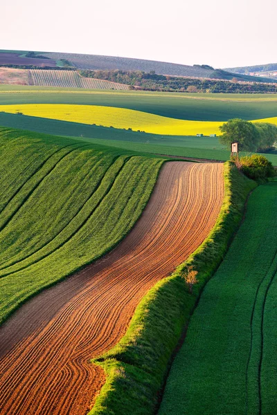 Avcı kulübesi çek Moravia bahar yeşil alanları üzerinde