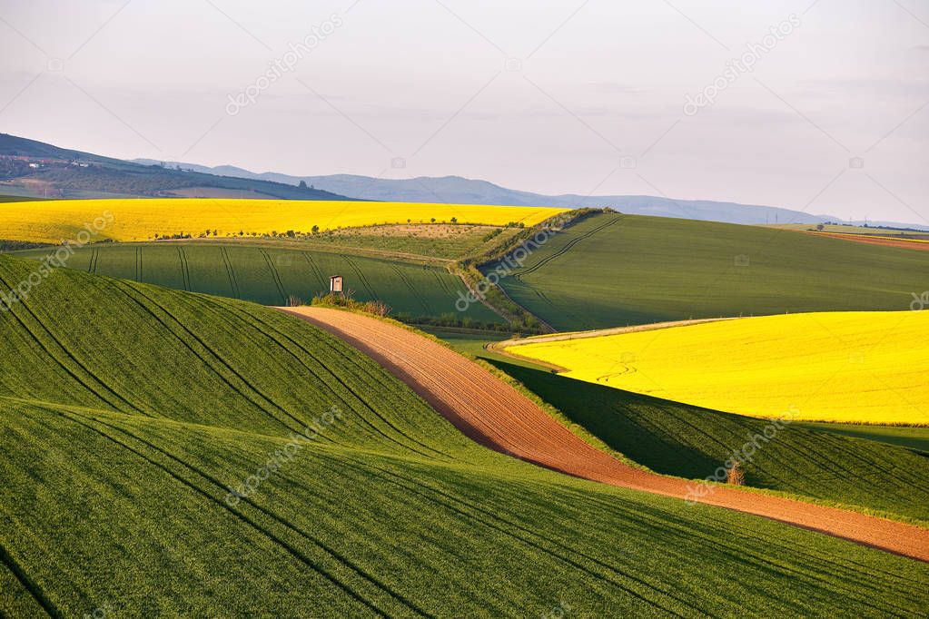 Sunny Spring farmland on hills of South Moravia