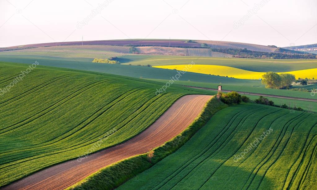 Shooting box on spring green fields of Czech Moravia