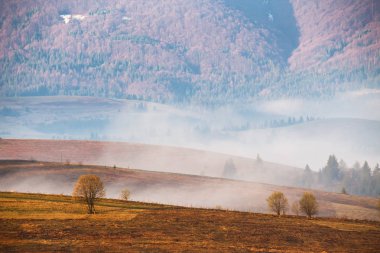 Sabah sis dağ Vadisi. Puslu hills