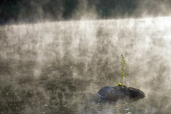 Kamień w mglisty rzeka słoneczny rano — Zdjęcie stockowe