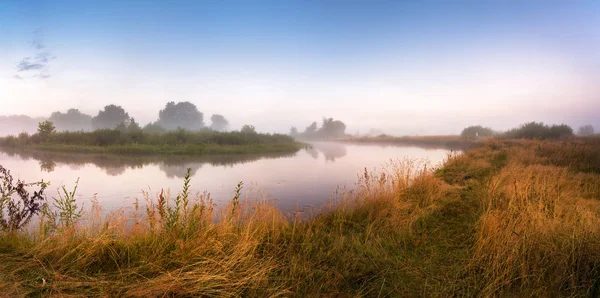 Fiume paludoso al mattino. Panorama. Calda mattina d'estate — Foto Stock