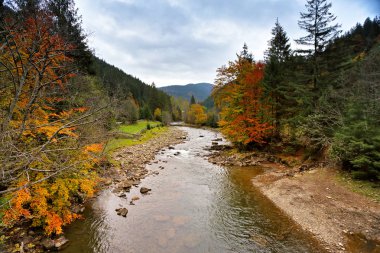 Bulutlu yağmurlu sonbahar manzara. Parlak r sonbahar renkleri woods