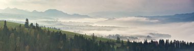 Sisli sonbahar. Sisli sabah panorama