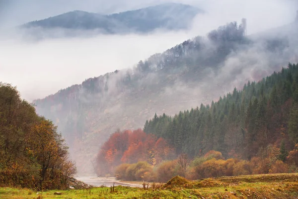 Herbstregen und Nebel in den Bergen. farbenfroher Herbst Wald bac — Stockfoto