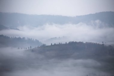 Sonbahar yağmur ve sis dağlarda. Sabah sis