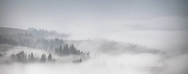 Alçak bulutlar tarafından kaplı orman Panoraması. Sonbahar yağmur ve sis