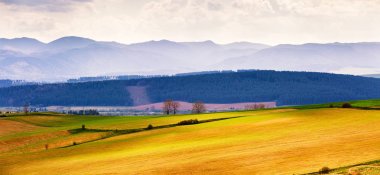 Bahar alanları ve çayır manzara hills. Tatras dağlar