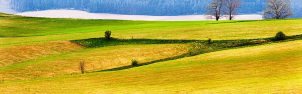 봄 산 필드와 초원 풍경. — 스톡 사진
