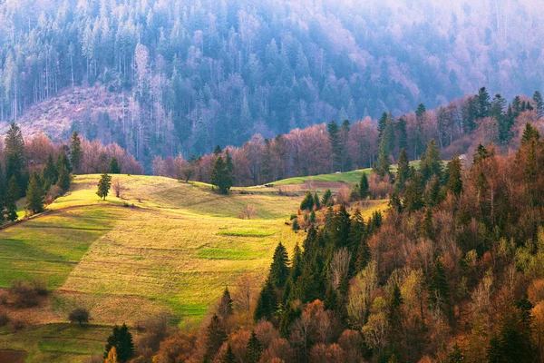 Zelené kopce v horském údolí. Jarní krajina. — Stock fotografie