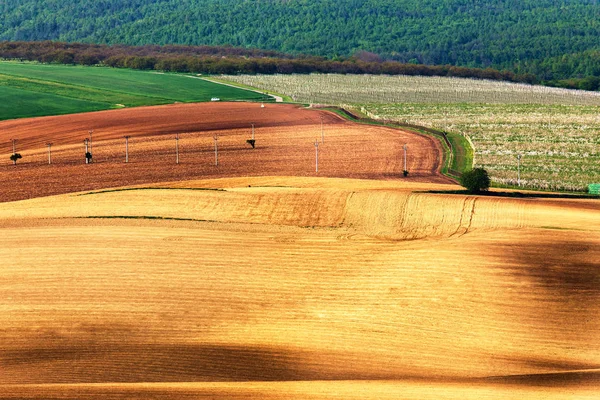 Arado de primavera verde y marrón. Campos agrícolas rodantes —  Fotos de Stock