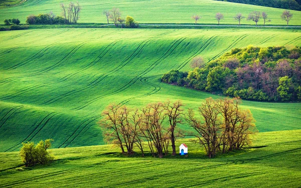 Kapel in akkerbouwgewassen landerijen — Stockfoto