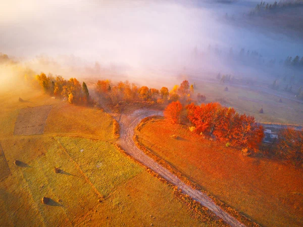 Luftaufnahme von Herbst Wald und Nebel. Drohnenblick auf die Gipfel der — Stockfoto