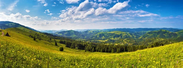 Dia ensolarado panorama do prado da montanha — Fotografia de Stock