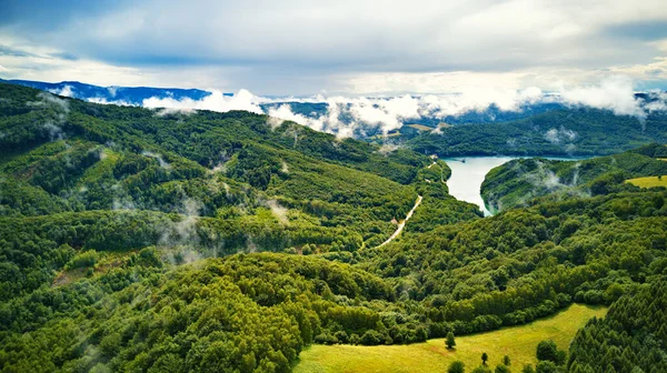 Yaz yağmurundan sonra sis bulutları. Göl ve dağ ormanlarıyla dolu yaz manzarası. Reservoir / Lake Starina 'nın hava manzarası, Polonyalı milli parkı, Slovakya.