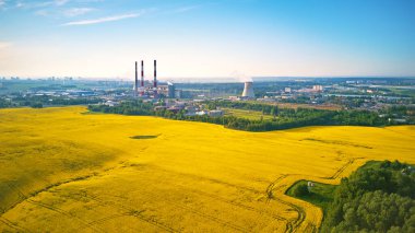 Belarus enerji santralinin panoramik hava görüntüsü, altın çiçekli kolza, kanola ya da kolza, elektrik enerjisi üretimi için iki olasılık. Nükleer ve geleneksel enerji üretimi