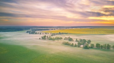 İlkbahar sabahı kırsal panorama. Yeşil ve sarı renkli Colza tarlalarının üzerinde gün doğumu. Sis bulutları ve nehir kenarında ağaçlar olan küçük bir nehir. Beyaz Rusya, Avrupa