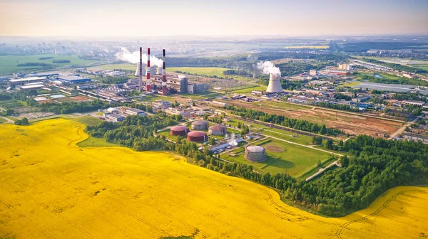 Panoramic Aerial View Belarus Power Plant Golden Flowering Field Rapeseed — Stock Photo, Image
