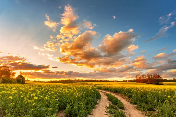 Весной Красочные Облака Заката Над Полем Кольца Сельская Дорога Ферме — стоковое фото