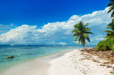 Saona adada vahşi el değmemiş beach