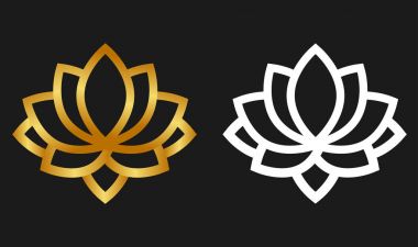 çizgi film lotus beyaz ve altın set