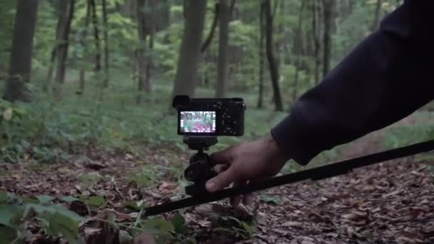 Filmación de vídeo en el bosque con el control deslizante de la cámara — Vídeos de Stock