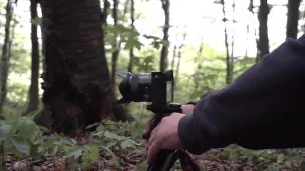 Filmar vídeo na floresta usando o controle deslizante da câmera — Vídeo de Stock