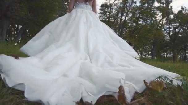 Свадебное платье невесты на траве — стоковое видео
