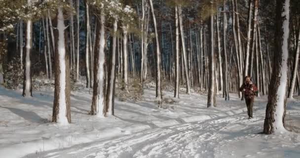 Man turist med sportutrustning promenader i vinterskogen — Stockvideo