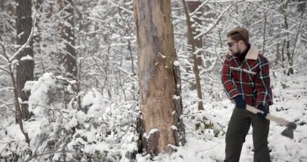 Woodcutter working with sharp axe at coniferous forest — Αρχείο Βίντεο